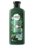 Aloe Vera & Eucalyptus Sulphate-Free Shampoo for Scalp Balance